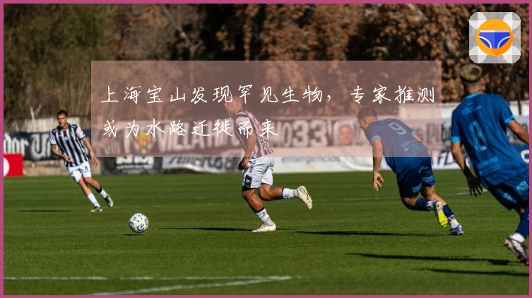 上海宝山发现罕见生物，专家推测或为水路迁徙而来