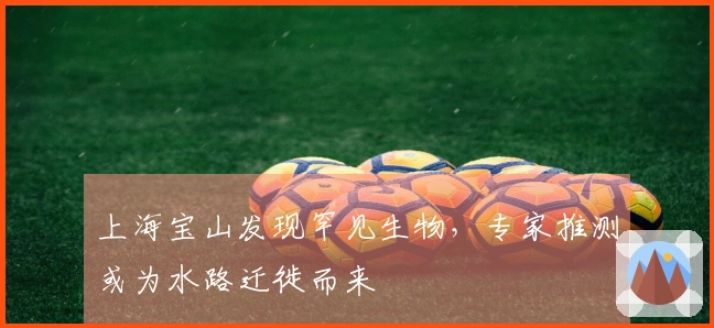 上海宝山发现罕见生物,专家推测或为水路迁徙而来